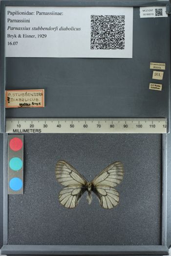 Media type: image;   Entomology 180019